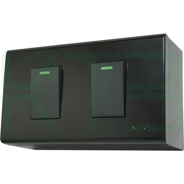 บล็อกลอย ขนาด 2x4 นิ้ว พร้อม สวิตซ์ 2 ตัว สีดำ (G-17)