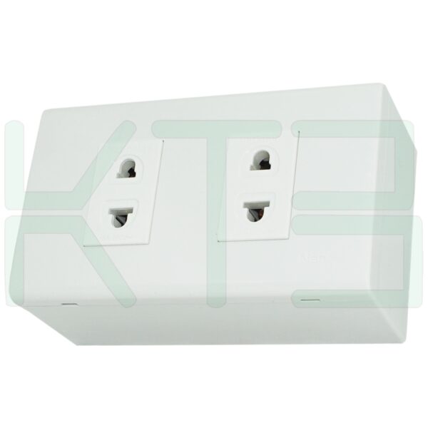 บล็อกลอย ขนาด 2x4 นิ้ว พร้อม ปลั๊กเดี่ยว 2 ตัว (G-41)